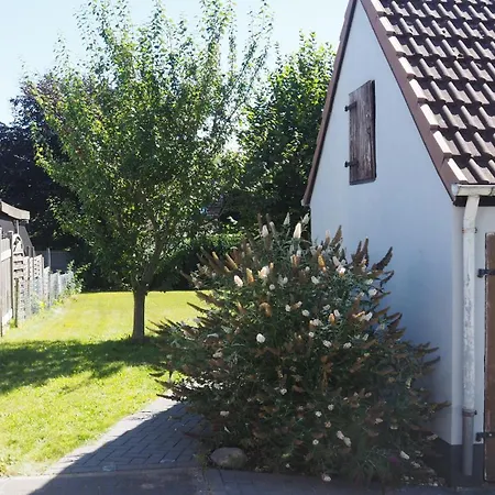 Allis Kajuete - Entspannen Im Grossen Garten Oder Vorm Kamin *