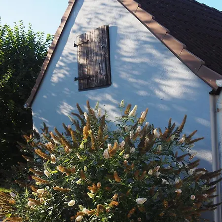 Lägenhet Allis Kajuete - Entspannen Im Grossen Garten Oder Vorm Kamin *