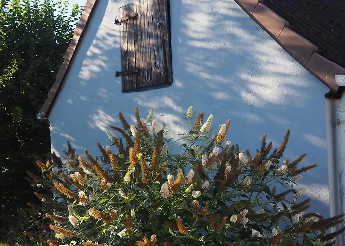 Apartament Allis Kajuete *